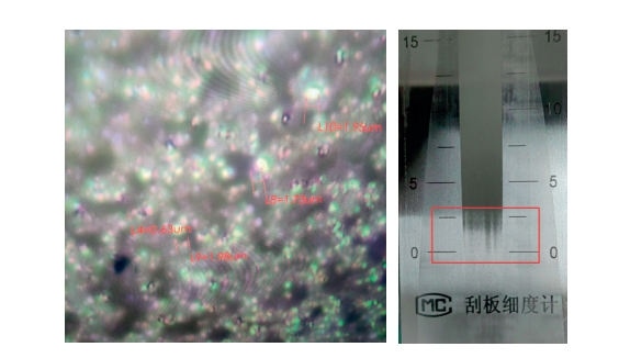 微信截圖_20240611171630.png
